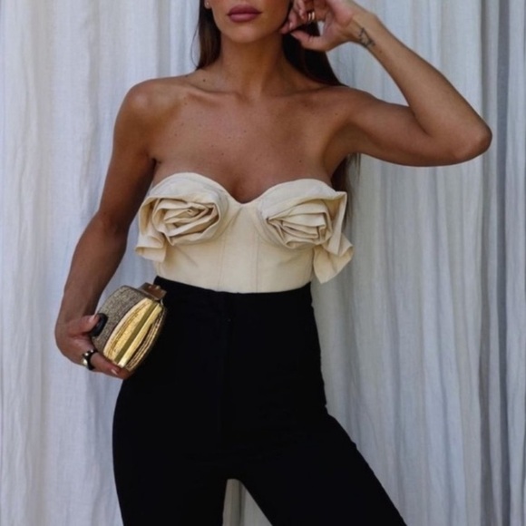 Zara Tops - ZARA Beige Cream 3D Floral Rose Appliqué Bust Strapless Crop Top